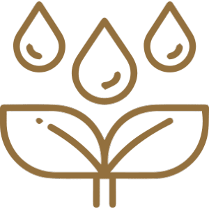 Irrigation