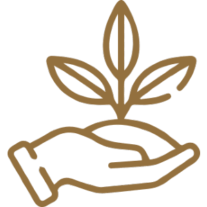 Planting
